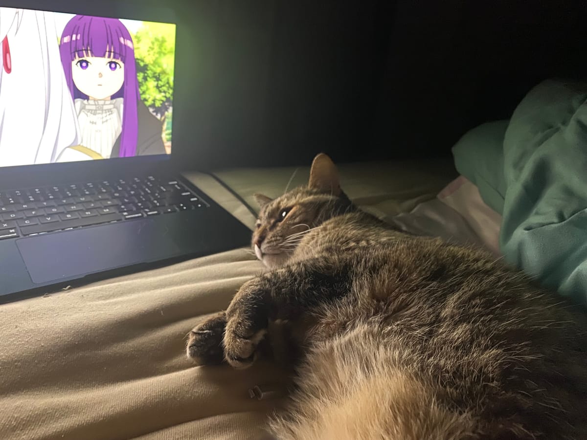 Router Watching Frieren